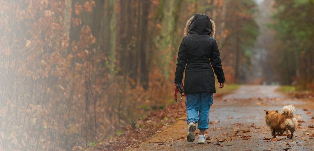 walking in the woods in autumn