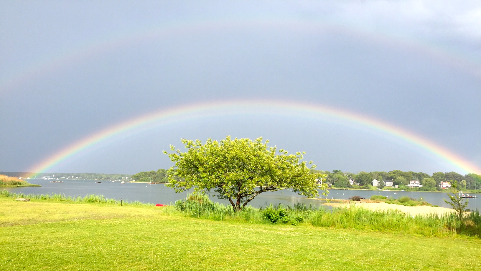 A rainbow over a tree at the lagoon pond
