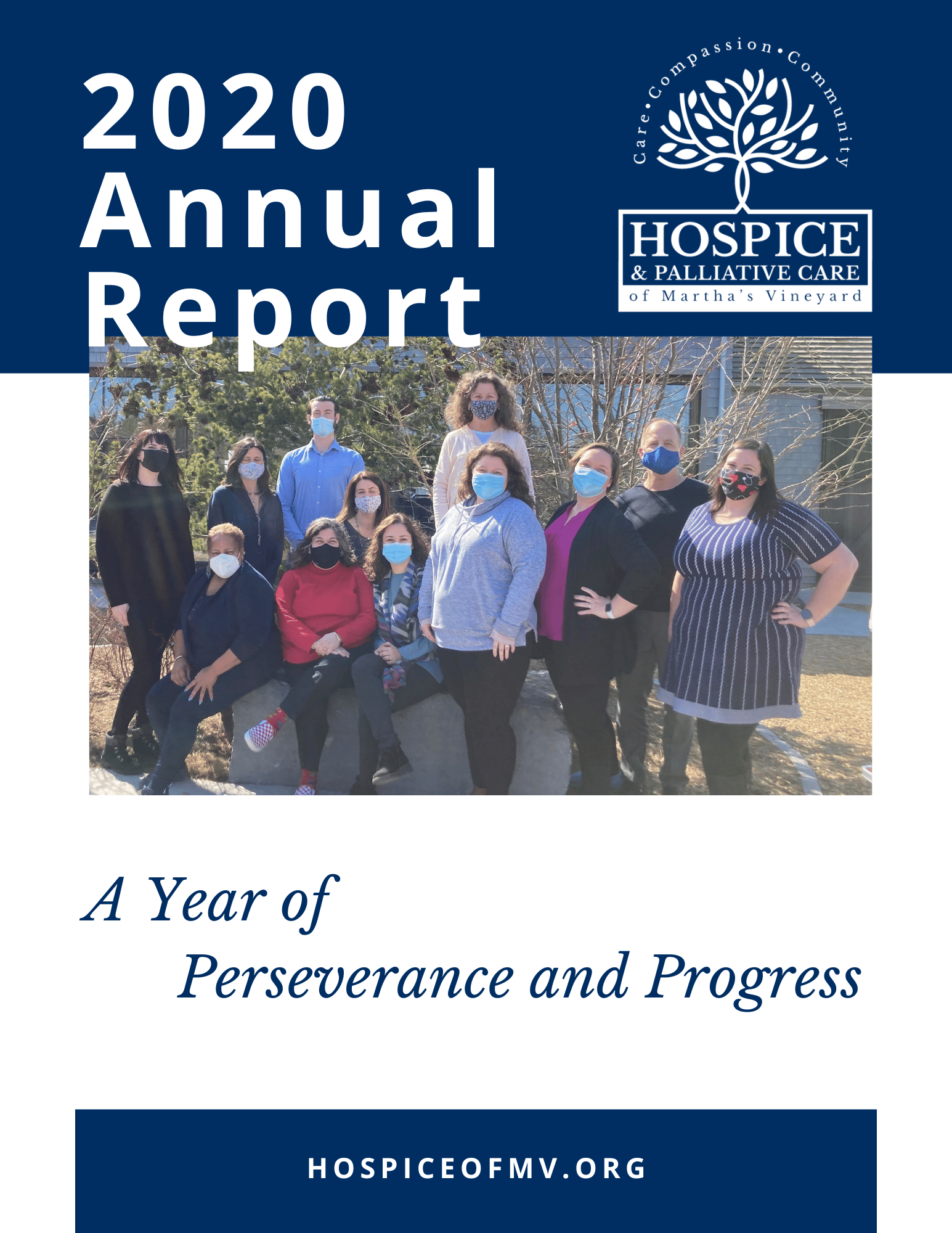 2020 Annual Report cover